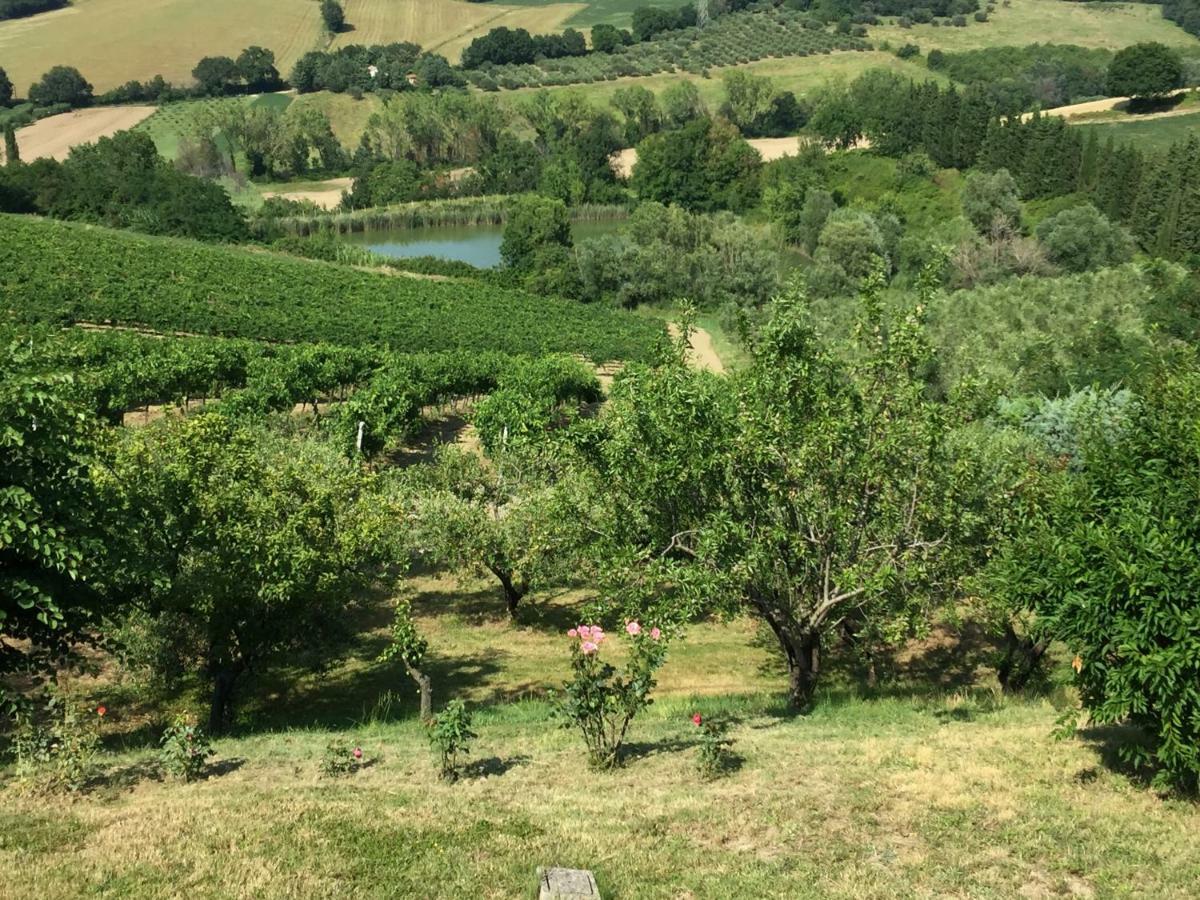 Villetta Le Rose Tavullia Bagian luar foto